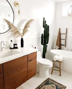 a bathroom with a cactus in the corner and a rug on the floor next to it