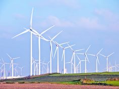 several windmills are seen in the distance on a sunny day with blue skies and green grass