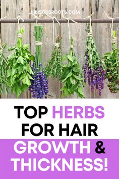 Herbs That Promote Hair Growth, Best Herbs For Hair Growth, Natural Herbs For Hair Growth, Hair Herbs, Medicinal Gardening, Baby Hair Growth, Thick Edges