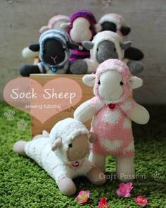 several stuffed animals sitting in the grass with a sign that says sock sheep above them