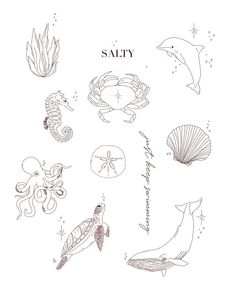 an ink drawing of sea animals and seashells with the words salty on them