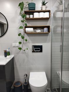 a white toilet sitting in a bathroom next to a sink and shower stall with plants on the shelves