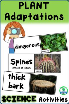 plant and animal life activities for kids to learn about the different types of plants in their garden