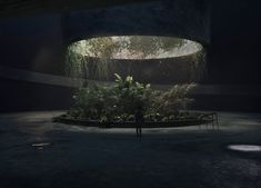 a man standing in front of a circular planter with plants growing out of it