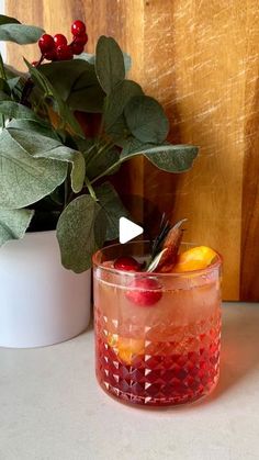 a glass filled with fruit and garnish next to a potted plant on a table