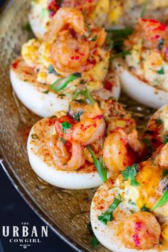 deviled eggs topped with shrimp and garnished with herbs