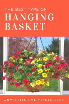 the best type of hanging basket with colorful flowers in it and text overlay reads, the best type of hanging basket