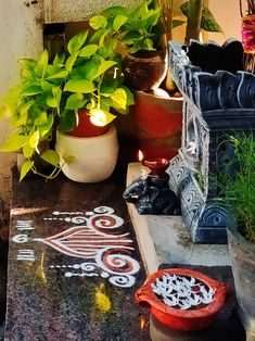 some potted plants are sitting next to a chalk drawing on the ground in front of a house