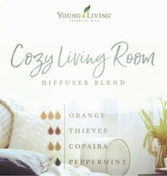 Cozy Diffuser Blends, Pot Potpourri, Diffuser Diy, Candle Recipes