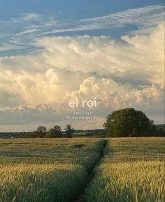 the cover of el roj's album, which features an image of a wheat field