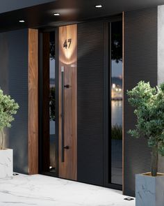 two potted plants sitting on the side of a building next to a double door