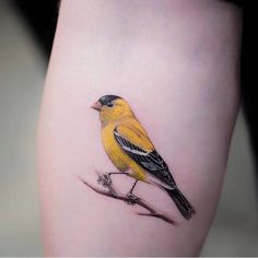 a small yellow bird sitting on top of a person's leg with black ink