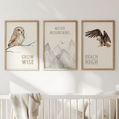 a baby's room with three posters on the wall and a crib in front of it