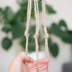 DIY - How to Make a Rope Plant Hanger Tutorial — That Knot Place