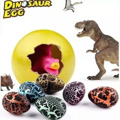 an egg shell with dinosaur eggs in it