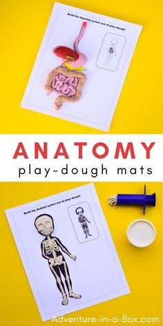 an image of anatomy play dough mats on a yellow background with the title below it