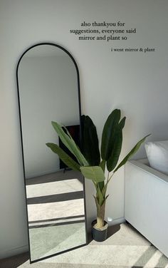 a large mirror sitting next to a plant in a pot