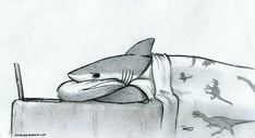 a drawing of a shark laying on a couch with a laptop in it's mouth