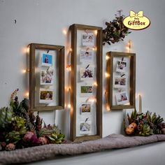 three wooden frames with pictures and lights hanging on the wall above them are succulents