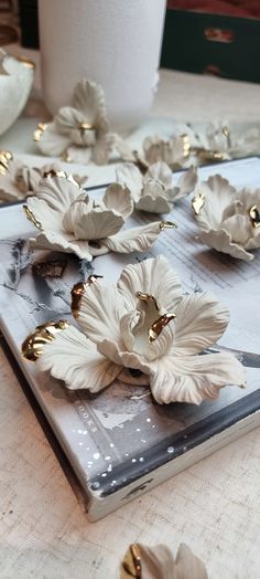 some white flowers are sitting on a table