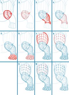 step by step instructions to draw an owl's head and tail, from the book how