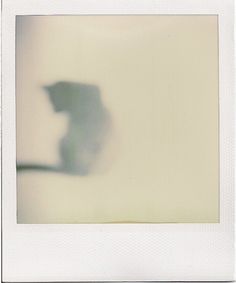 a polaroid photograph of a shadow of a person holding an umbrella over their head