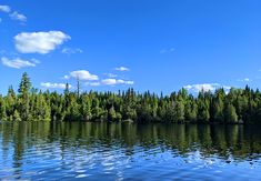 a lake surrounded by lots of trees under a blue sky