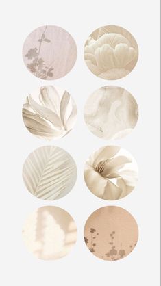 six different types of white and beige circles with leaves on them, all arranged in the same