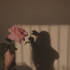 the shadow of a woman holding a pink rose in her hand, next to a potted plant