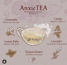 an info board with different types of tea