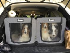 two dogs are sitting in the back of a car with their kennels open