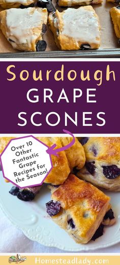 sourdough grape scones being prepared on a tray and baked Grape Recipe, Grape Juice Recipe, Basic Scones, Grape Recipes, Classic Breakfast, Year End, Crumble Topping, Organic Sugar, Scone Recipe