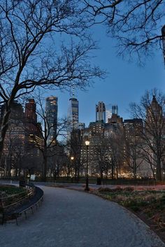 an empty park with benches and trees in the foreground at night, near skyscrapers