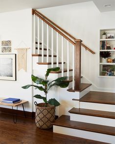 a potted plant sitting on top of a wooden floor next to a stair case