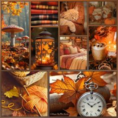 a collage of photos with autumn leaves, pumpkins and a cat sleeping in a basket