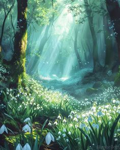 the sun shines through the trees and flowers in the forest with snowdrops