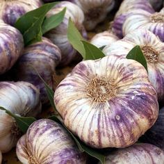 several garlics with green leaves on top of them