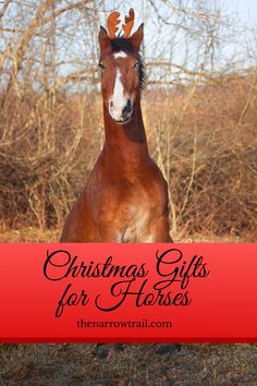 a brown horse standing on top of a dry grass field next to trees and bushes