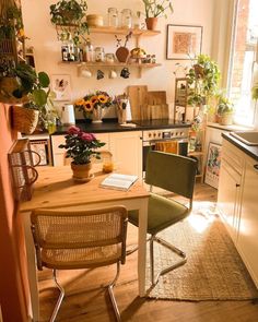 a kitchen filled with lots of potted plants