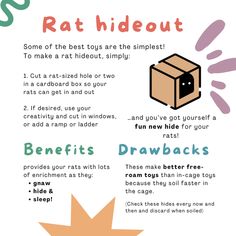 an info sheet with instructions on how to use rat hideout