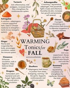 Food Spells, Grounding Foods, Survival Journal, Herbal Lifestyle, Apothecary Book, Herbal Remedies Recipes, Medicinal Herbs Garden, Moon Astrology