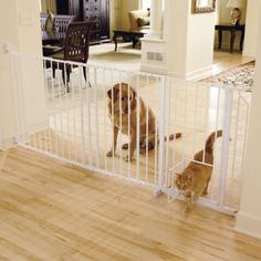 two dogs and a cat in a living room with a white gate that is open