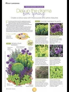 the brochure shows different types of plants and flowers in bloom, including purple