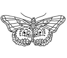 a black and white drawing of a butterfly with stripes on it's wings,