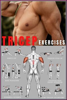 an image of a man's back and chest with the words, tricep exercises