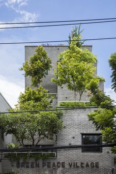 an old building with trees growing out of it