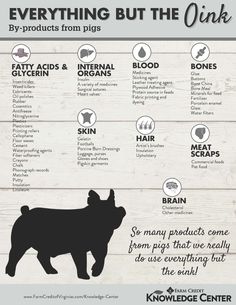 an info sheet with the words everything you need to know about dogs