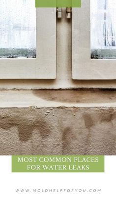 two windows with the words most common places for water leaks