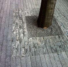 a tree that is sitting on the side of a road next to a sidewalk with cobblestones