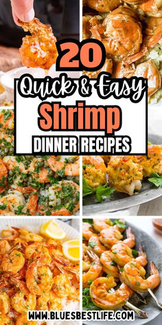 A collection of shrimp recipes. Fast Shrimp Recipes Dinners, Easy Way To Cook Shrimp, Shrimp Already Cooked Recipes, Easy Ways To Cook Shrimp, Ways To Cook Shrimp, Seafood Dish Recipes, Fish Dinner Recipes, Chicken And Shrimp Recipes, Shrimp Dinner